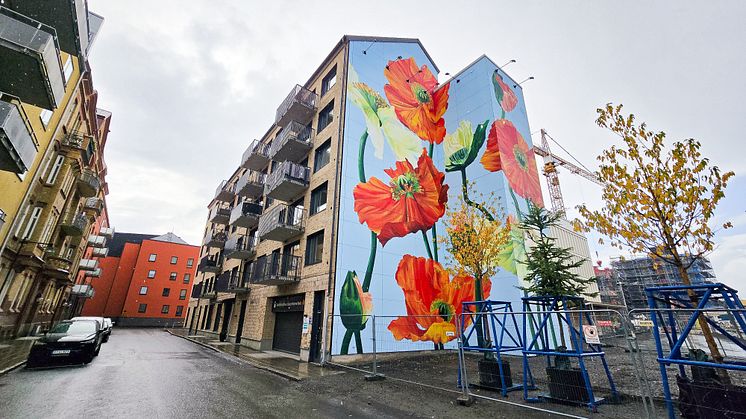 ABK:s världsunika muralmålning i Östermalms Park i centrala Kristianstad, målad av Malin "Korallpionen" Sparrvardt.