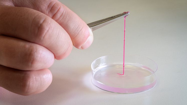 Närbild på tråd av röd hydrogel.