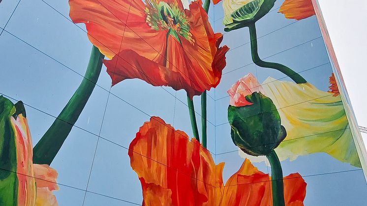 ABK:s världsunika muralmålning i Östermalms Park i centrala Kristianstad, målad av Malin "Korallpionen" Sparrvardt.
