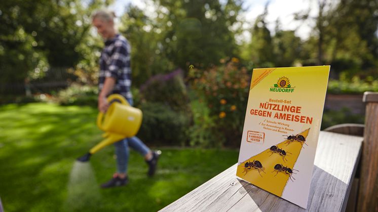 Die nützlichen SF-Nematoden von Neudorff wirken effektiv gegen Ameisen im ganzen Garten.