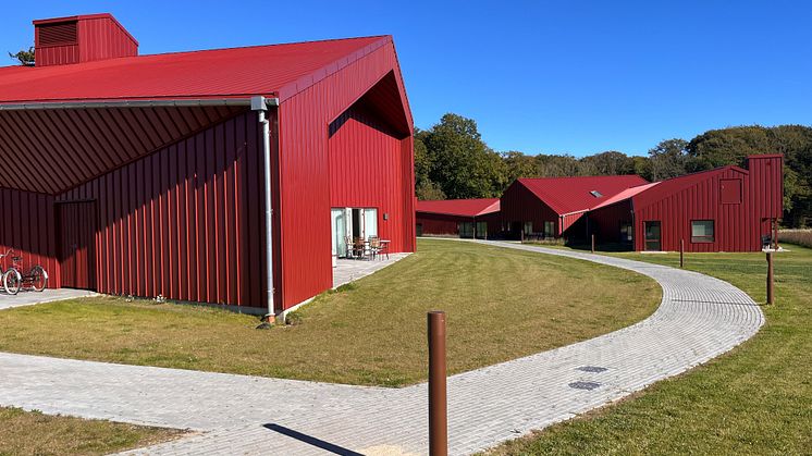 Tornsbjerggård