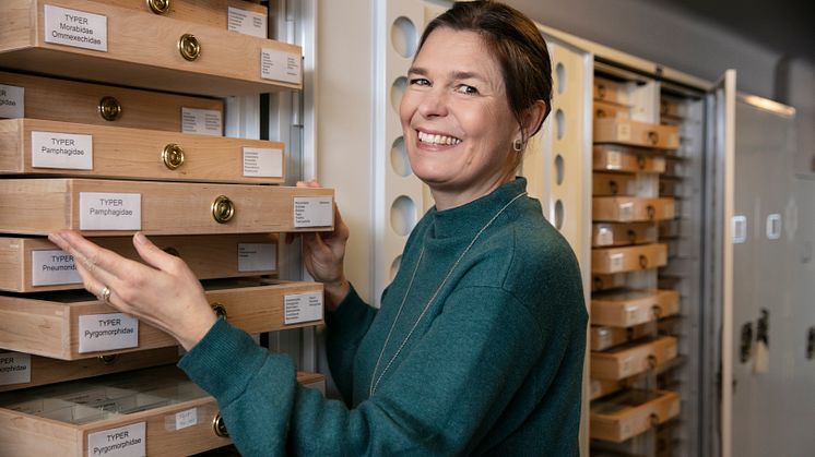 Lisa Månsson, överintendent på Naturhistoriska riksmuseet förevisar en del av museets samlingar.