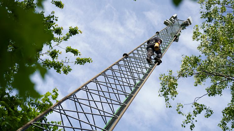 Operatør klatrer op i høj telemast i grønne omgivelser