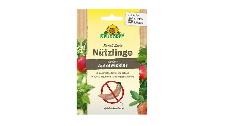 Nematoden gegen Schädlinge an Apfel, die Apfelwickler. Rein biologisch.