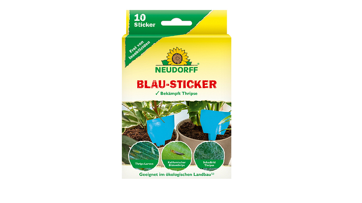 Ideal für die biologische Schädlingsabwehr: beleimte Blau-Sticker locken fliegende Schädlinge an, die an ihnen haften bleiben