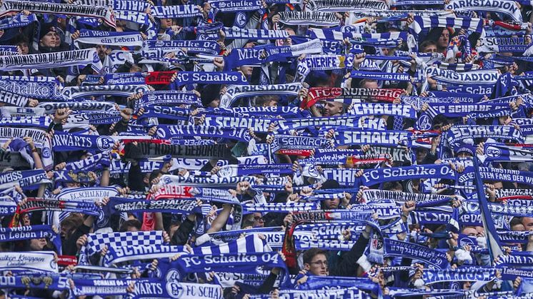 Schalke-Fans heben ihre Schalke Schals in die Höhe