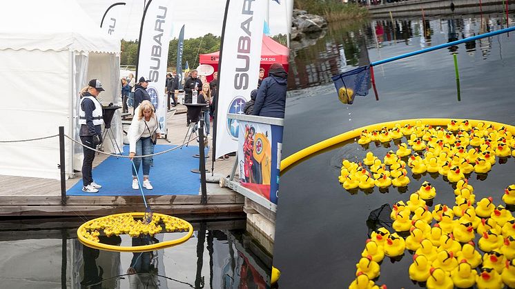 Rädda en anka ur plurret på Sveriges största flytande båtmässa 29-31 augusti.