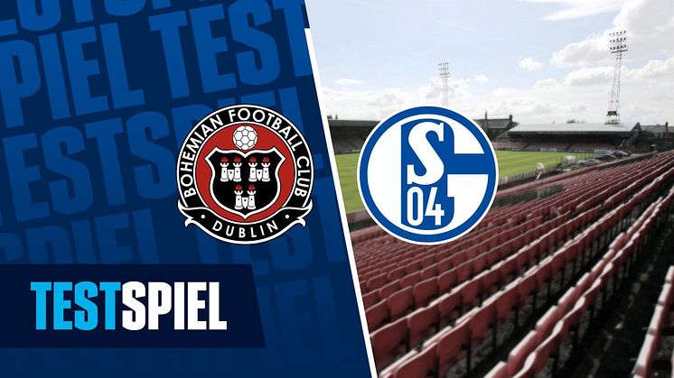 Testspiel Schalke - Dublin