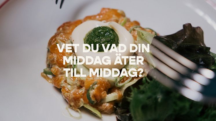 Urban Deli lanserar svenskodlad regnbågslax uppfödd på framtidens foder