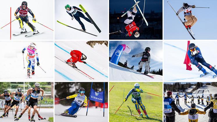 Ett kollage med bilder på Svenska Skidförbundets idrotter.