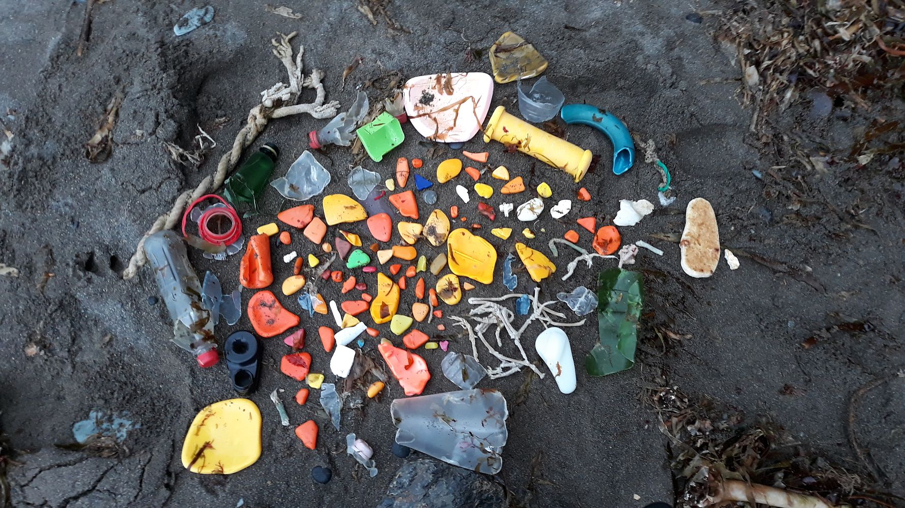 collection_of_colorful_litter.jpg