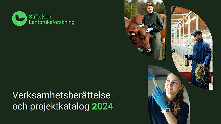 Verksamhetsberättelse och projektkatalog 2024 är här