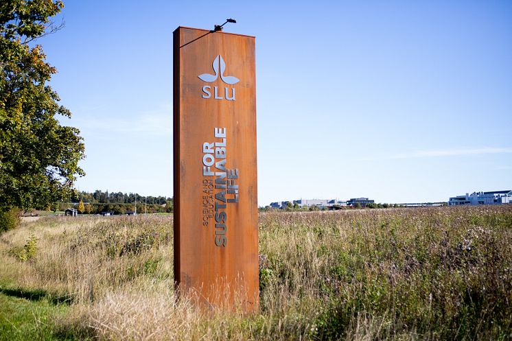 En brun hög skylt med SLU:s logo och texten "Science and education for sustainable life". Gräs och träd runt. Hus i fjärran.