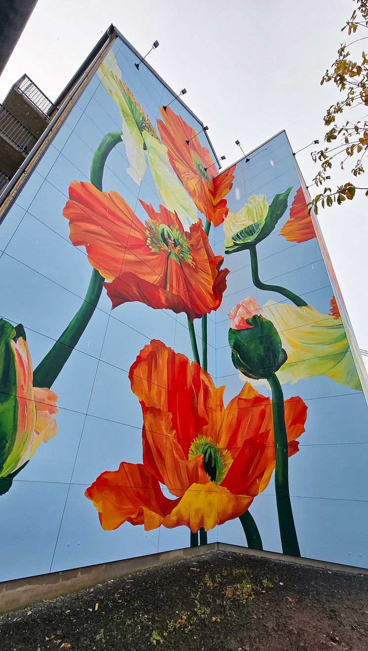 ABK:s världsunika muralmålning i Östermalms Park i centrala Kristianstad, målad av Malin "Korallpionen" Sparrvardt.