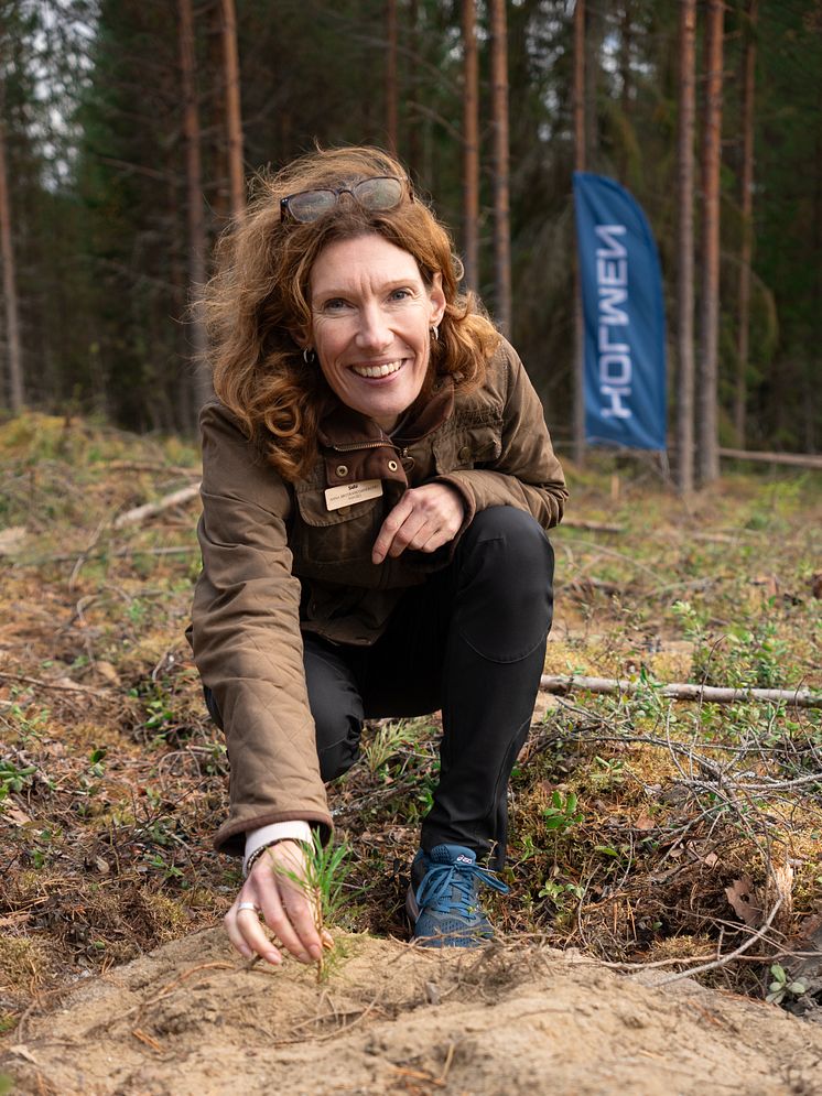 Plantering av trädplanta vid lansering av Sara kulturskog.