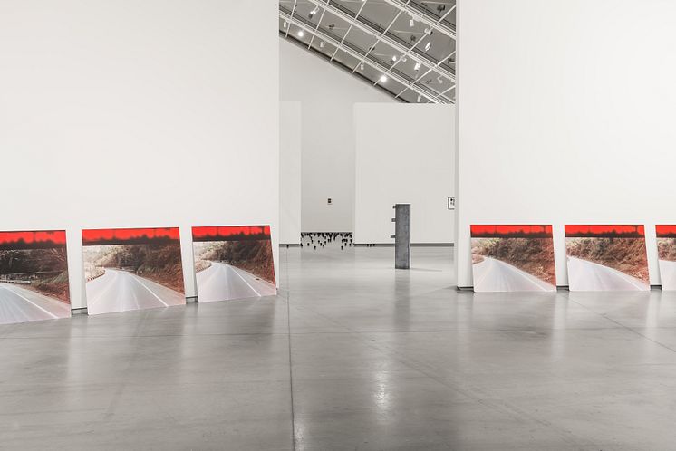 Exhibition view, Lutz Bacher: Burning the Days. © Astrup Fearnley Museet, 2025. Photo: Christian Øen