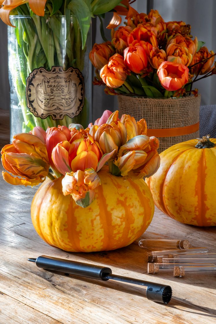 Halloweenfest med tulpaner och pumpor i dukning