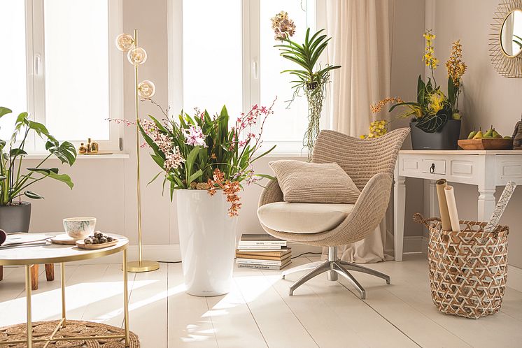 Ein Wohnraum ist mit bunt blühenden Orchideen in verschiedenen Gefäßen von LECHUZA dekoriert.