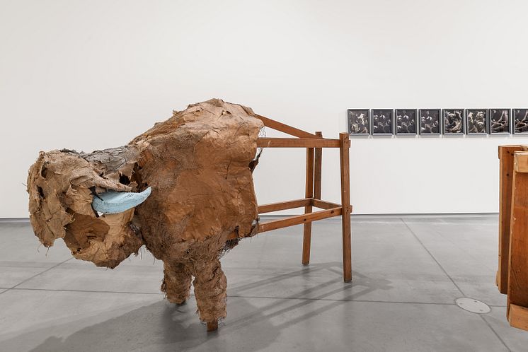 Exhibition view, Lutz Bacher: Burning the Days. © Astrup Fearnley Museet, 2025. Photo: Christian Øen