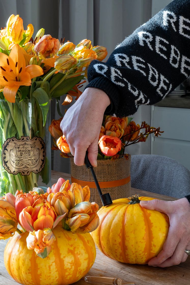 Halloweenfest med tulpaner och pumpor i dukning. DIY tips.