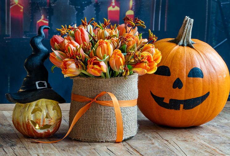 Tulpaner och pumpa till halloween